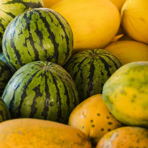 Fruites. Sucs. Taller de cuina hivern