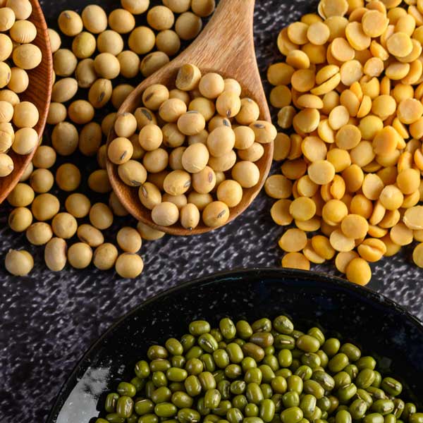 Proteines vegetals-Taller de cuina primavera