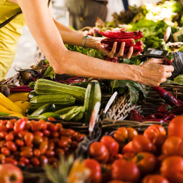 Cesca i la cuina mercat